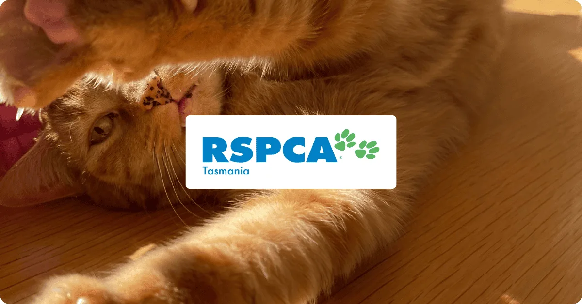 RSPCA Tasmania no longer spend time chasing receipts by using Budgetly!