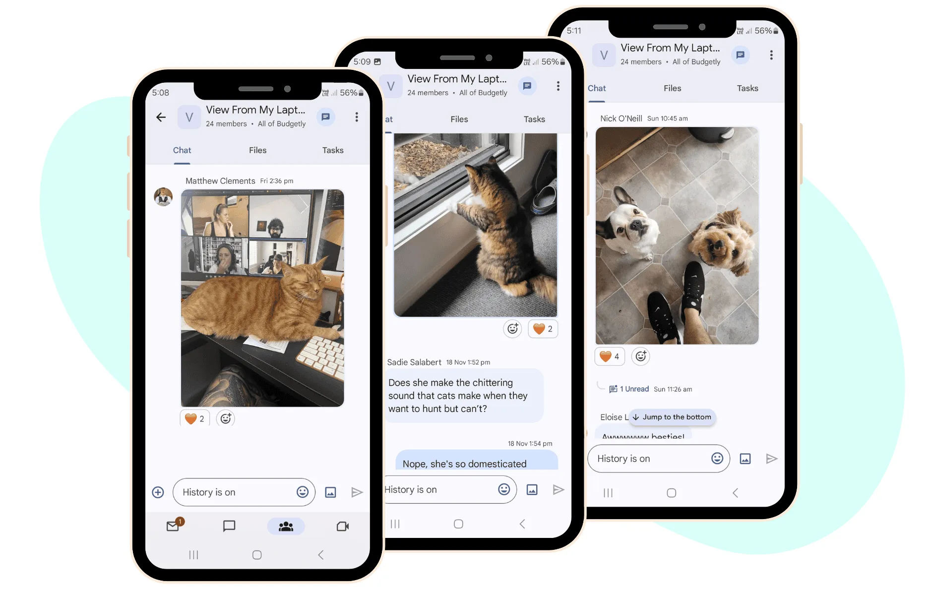 Budgetly View From My Laptop